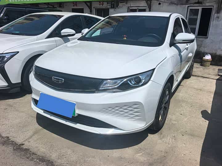 2021 Emgrand New Energy 2021 EV Pro Changxing Edition