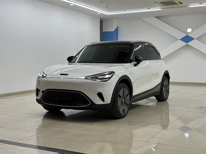 smart Elf #1 2024 Premium Edition