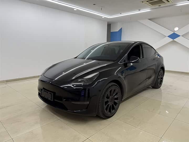 2021 Model Y 2021 standard range rear-wheel drive version
