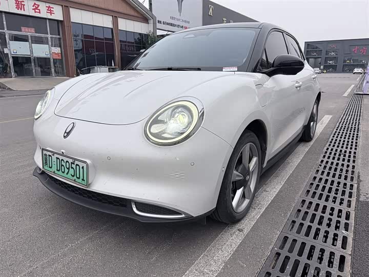 2022 Euler Good Cat 2022 Morandi Edition 400km standard battery life luxury model ternary lithium
