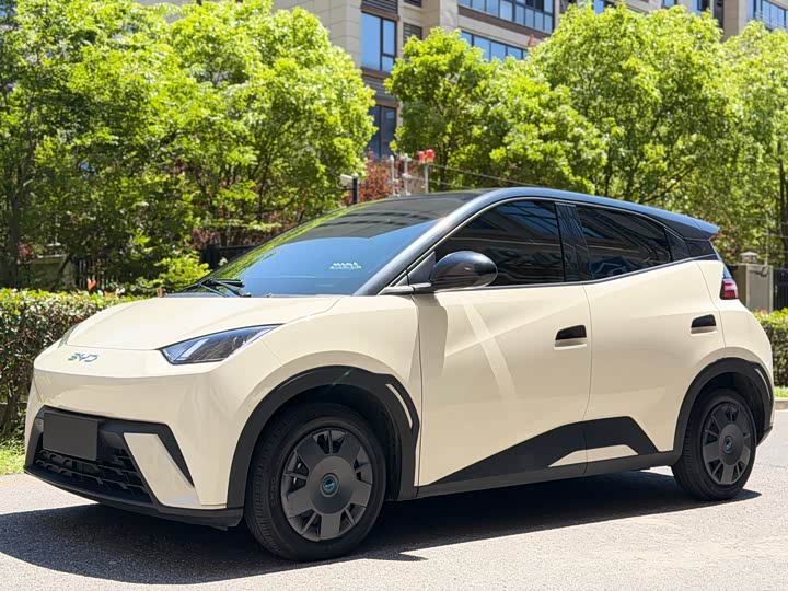 2024 Seagull 2024 Honor Edition 305km Vitality Edition