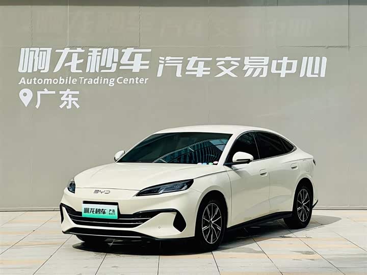 Seal 06 2024 DM-i 80KM Premium Type
