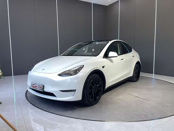 2021 Model Y 2021 long-range all-wheel drive version 3D7