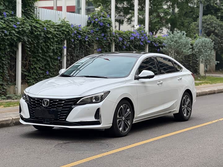 Ruicheng CC 2022 Blue Whale Edition 1.5T DCT Premium Type