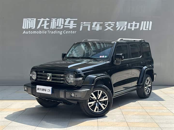 2022 Tank 300 2023 City Edition 2.0T Very Stylish