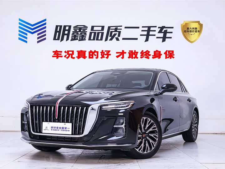 2024 Hongqi H5 2024 2.0T Automatic Zhilianqichang Edition
