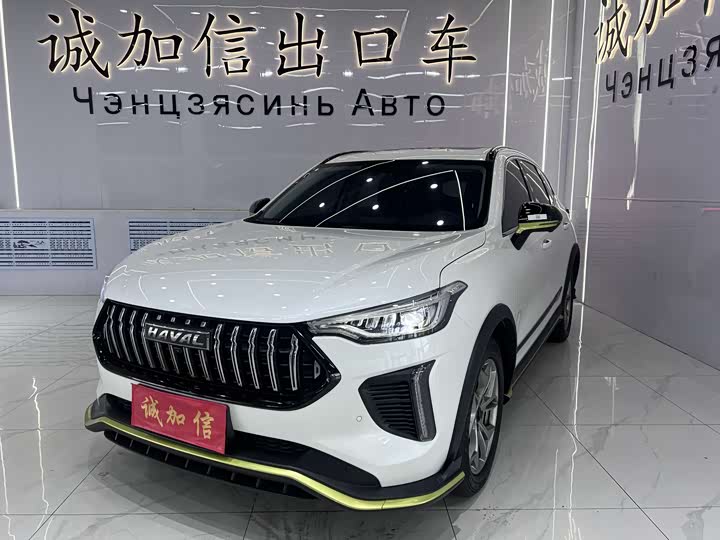 2022 Haval Red Rabbit 2022 Exclusive Edition 1.5T Red Bronze Rabbit