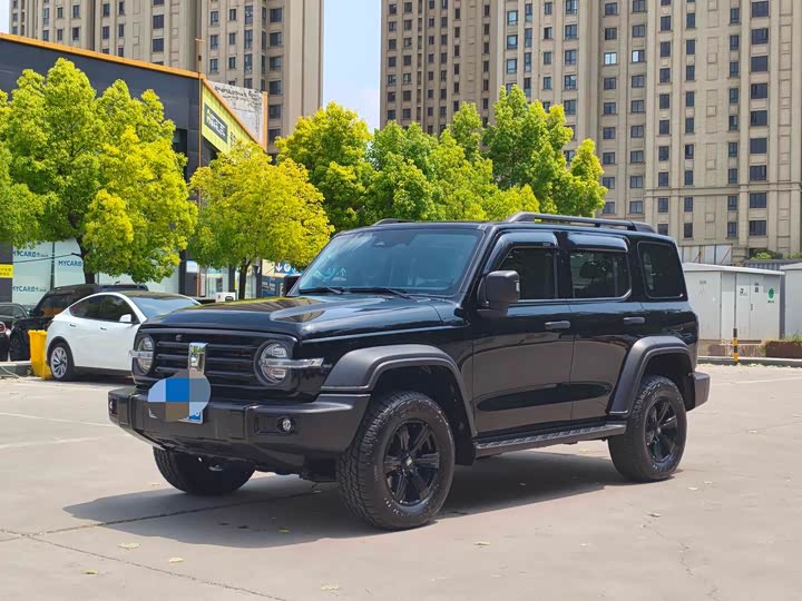 2021 Tank 300 2021 Off-Road Version 2.0T Conqueror
