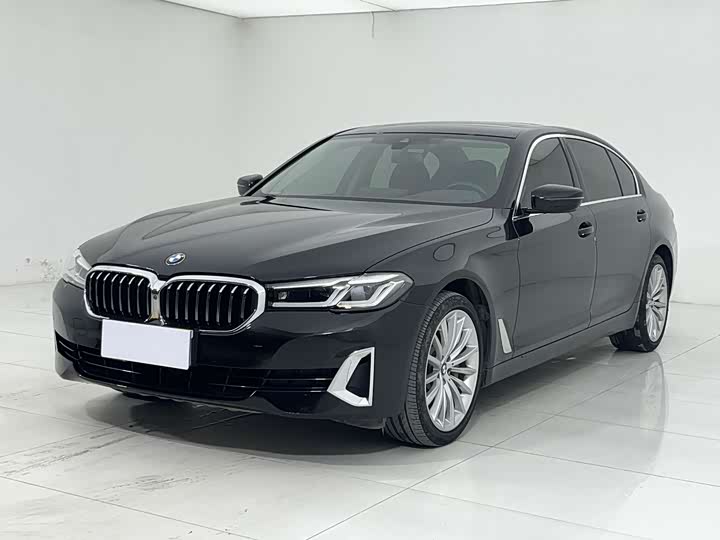 2021 BMW 5 Series 2021 530Li Luxury Line