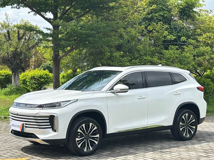 2024 Xingtu Lingyun 2024 300T 2WD Xingyao Edition