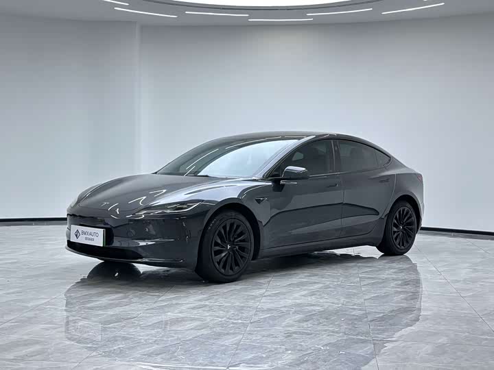 2025 Model 3 2025 rear-wheel drive version