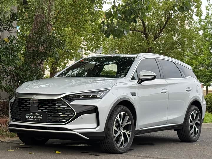 2025 Tangxin Energy 2025 smart driving version DM-i 115KM flagship model