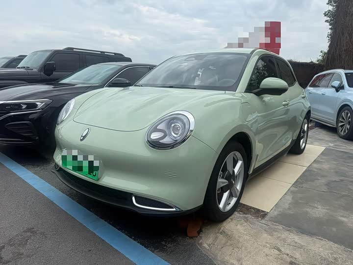 2023 Euler Good Cat 2023 model 401km standard battery life luxury model ternary lithium