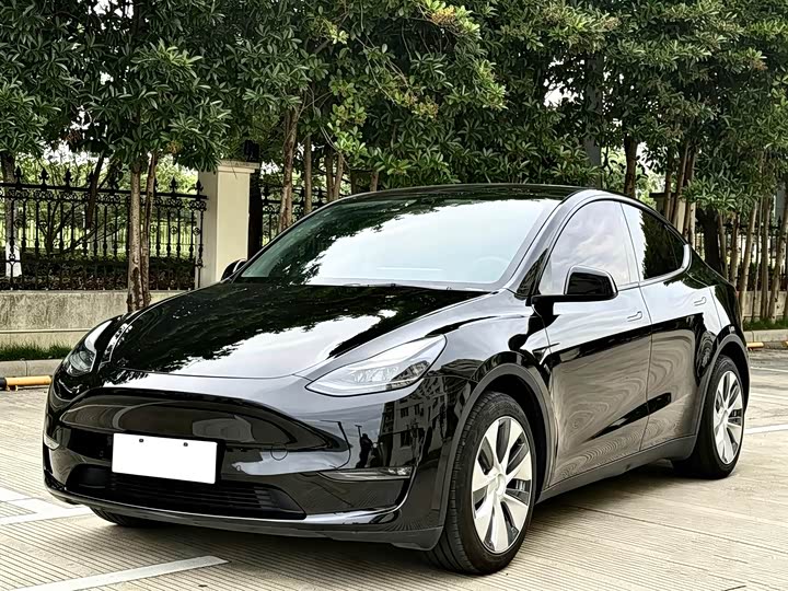 2021 Model Y 2021 standard range rear-wheel drive version