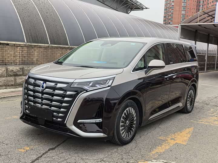 2024 Denza D9 2024 Pioneer Four-Seat Founder Edition