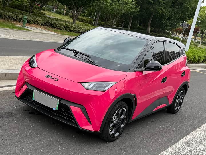 2024 Seagull 2024 Honor Edition 305km Free Edition