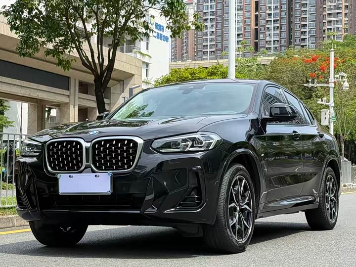2022 BMW X4 2022 xDrive25i M Sport Package