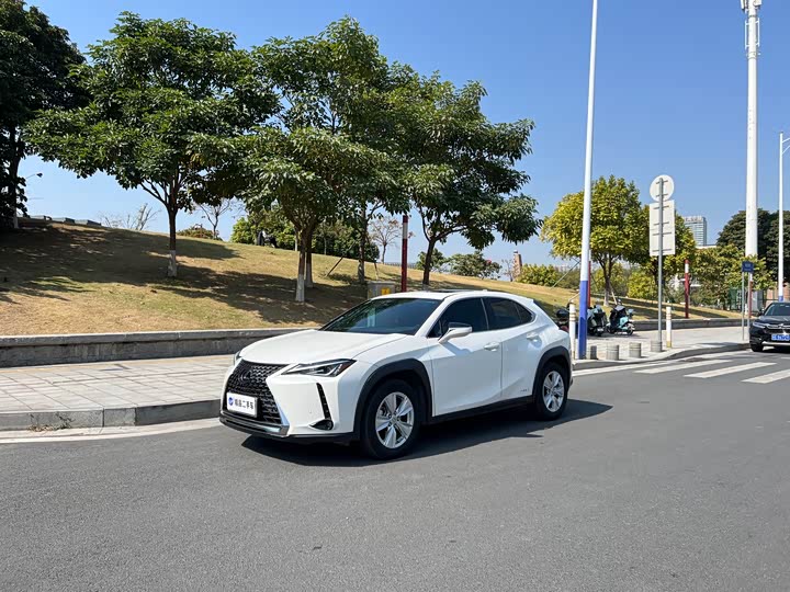 2021 Lexus UX 2020 260h F Sport China V