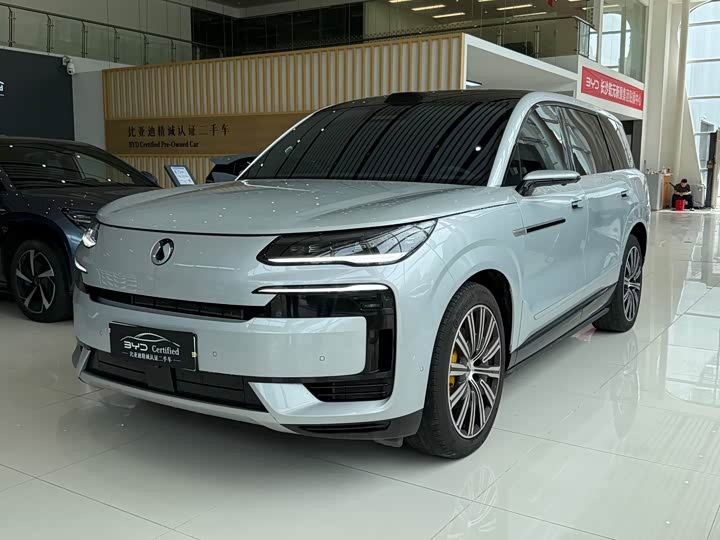 2025 Denza N9 2025 flagship model