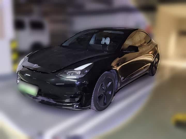 2021 Model 3 2021 standard range rear drive upgraded version 3D6