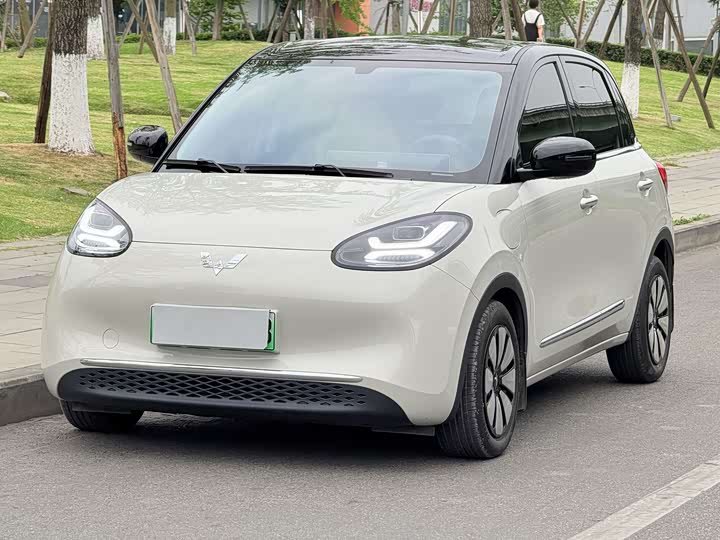 2025 Wuling Bingo 2025 model 333km Yuexiang model