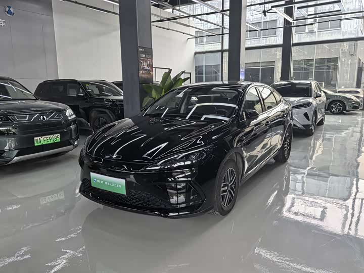 2025 Seal 05 DM-i 2025 DM-i smart driving version 120KM flagship model
