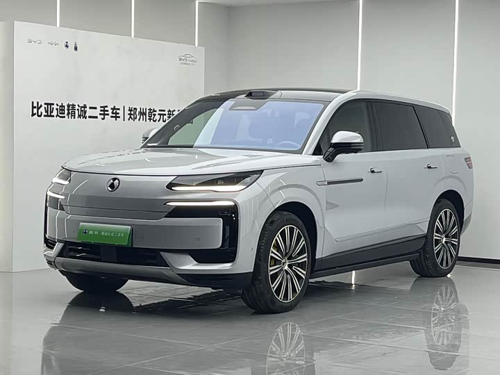 2025 Denza N9 2025 flagship model