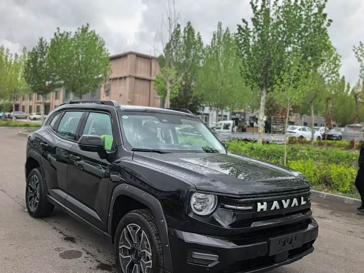 2026 Haval Big Dog PLUS New Energy 2026 Hi4 150km Tide Electric Version