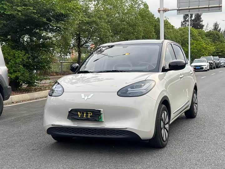 2025 Wuling Bingo 2024 model 333km Yuexiang model