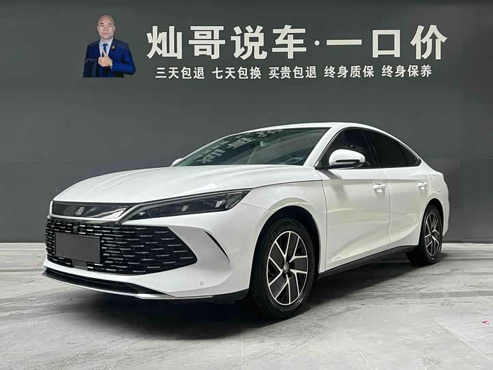 2024 Qin L 2024 DM-i 120KM transcendent model