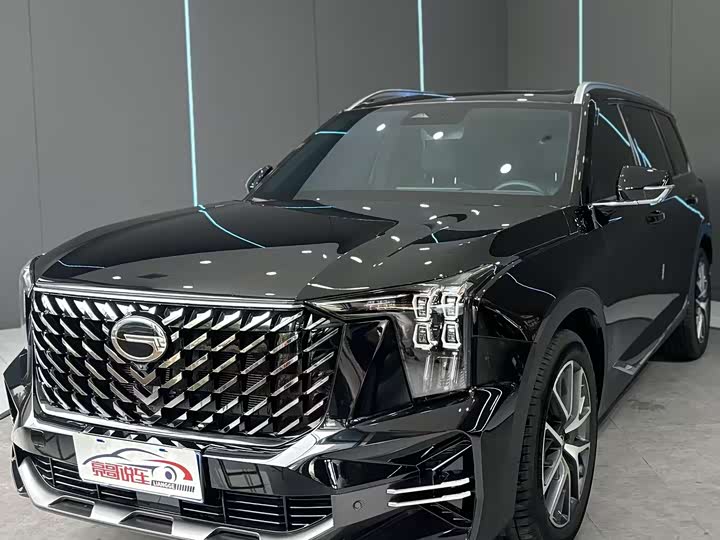 2025 Trumpchi GS8 2025 Pilot Series 2.0TGDI two-wheel drive luxury version 5 seats