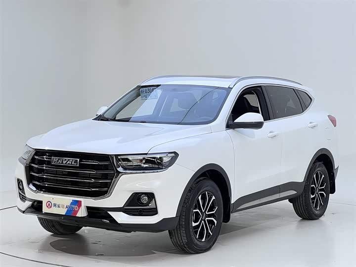 2023 Haval H6 2021 Guochao Edition 1.5T Automatic Urban Edition