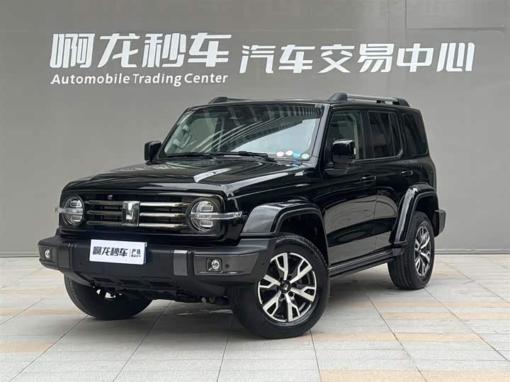 2022 Tank 300 2021 City Edition 2.0T Very Stylish