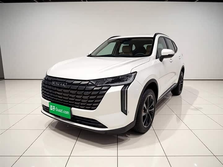 2025 Haval H6 2024 1.5T two-wheel drive Max