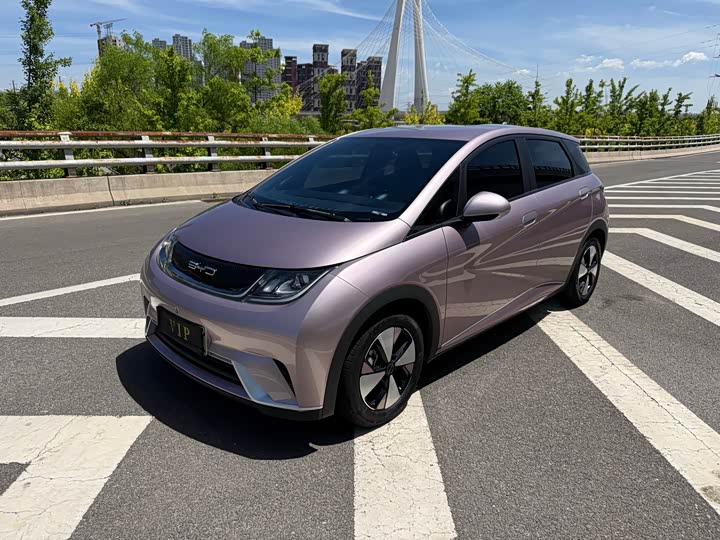 2023 Dolphin 2023 420km Free Edition