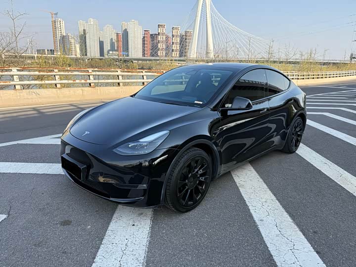 2021 Model Y 2021 standard range rear-wheel drive version