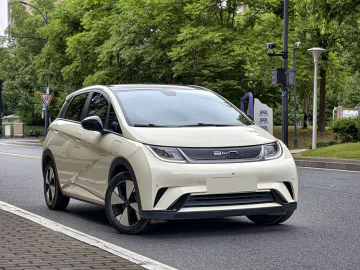 2023 BYD Dolphin 2023 420km Fashion Edition
