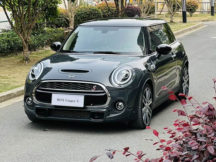 2021 MINI 2021 2.0T COOPER S Artist