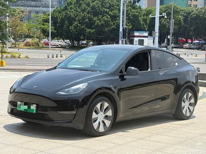 2021 Model Y 2021 standard range rear-wheel drive version