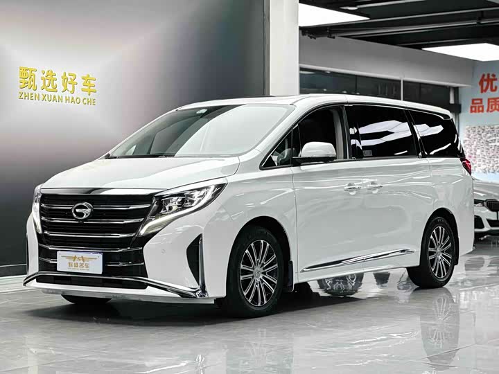 2021 GAC Trumpchi M8 2021 Master Edition 390T Supreme