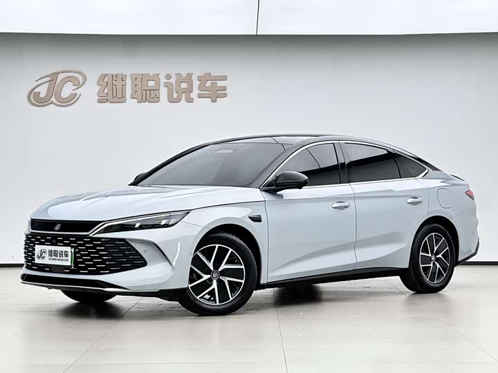 2025 Qin L 2025 DM-i smart driving version 120KM leading model