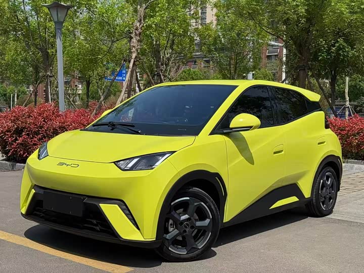 2024 Seagull 2024 Honor Edition 305km Free Edition