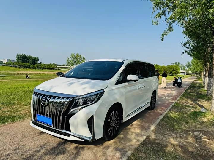 2021 Trumpchi M8 2021 Master Series 390T Extreme Edition