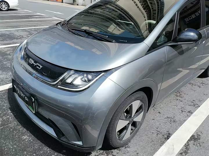 2023 BYD Dolphin 2023 420km Fashion Edition