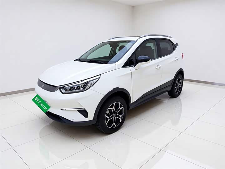 2022 Yuan Pro 2021 401KM Premium Edition