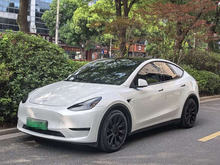 2021 Model Y 2021 facelift long-range all-wheel drive version 3D5