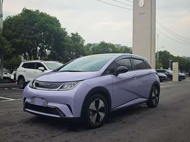 2024 BYD Dolphin 2023 420km Fashion Edition