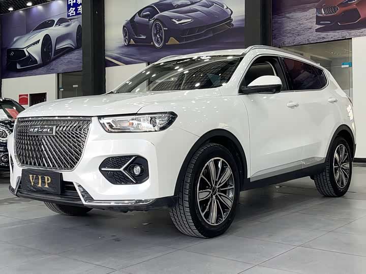 2021 Haval H6 2021 1.5T Automatic Champion Edition