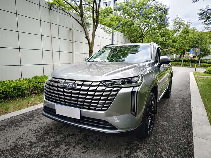 2024 Haval H6 2024 2.0T four-wheel drive Max