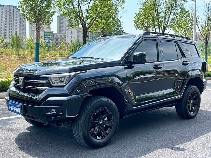 2025 Tank 400 New Energy 2024 Hi4-T Off-Road Version